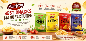 Best Potato Chips Manufacturer in India 